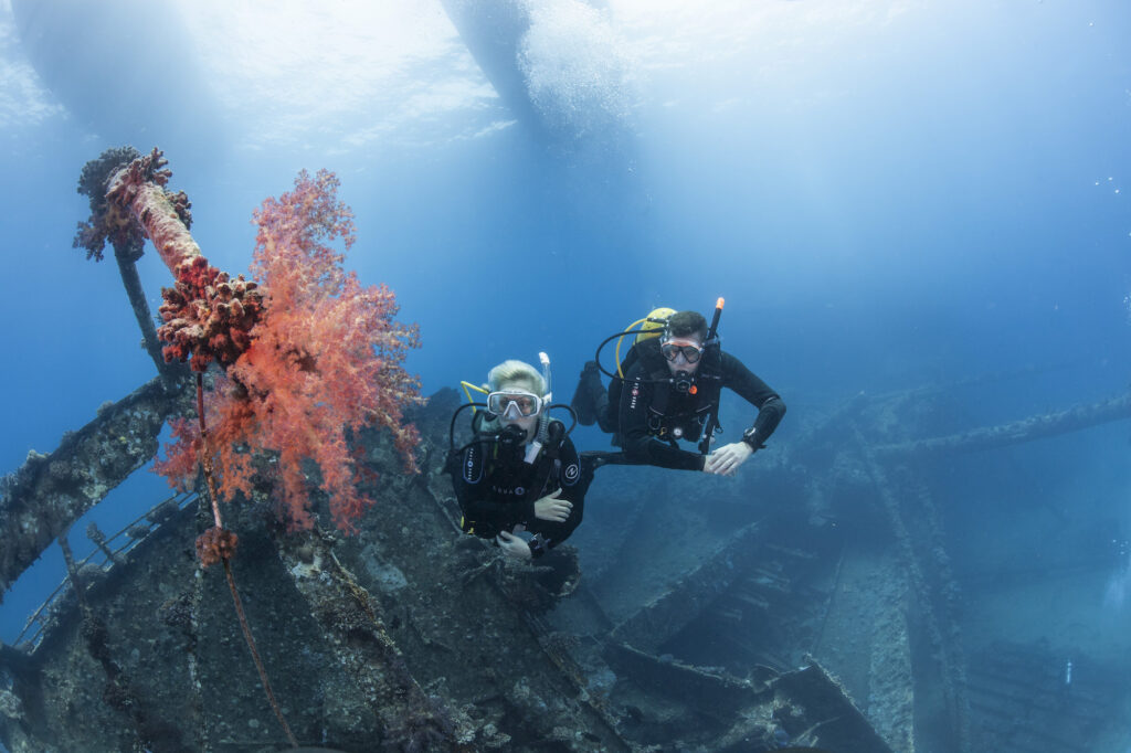 What It S Like To Dive In Dahab And Sharm El Sheikh Egypt Right Now