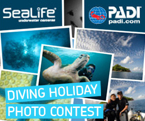 Diving Holiday Photo Contest