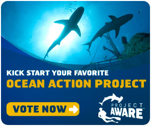 Ocean Action Project