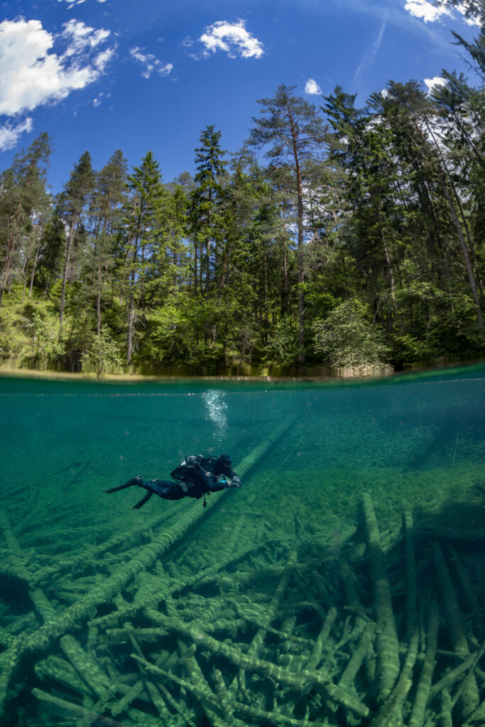 Diver at a Swiss lake with a forest view at the surface