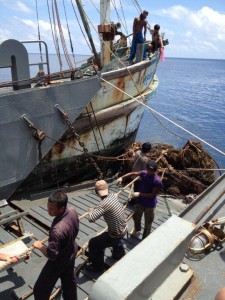 Removing fishing net at Go Eco Phuket