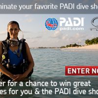 PADI Dive Shop Appreciation