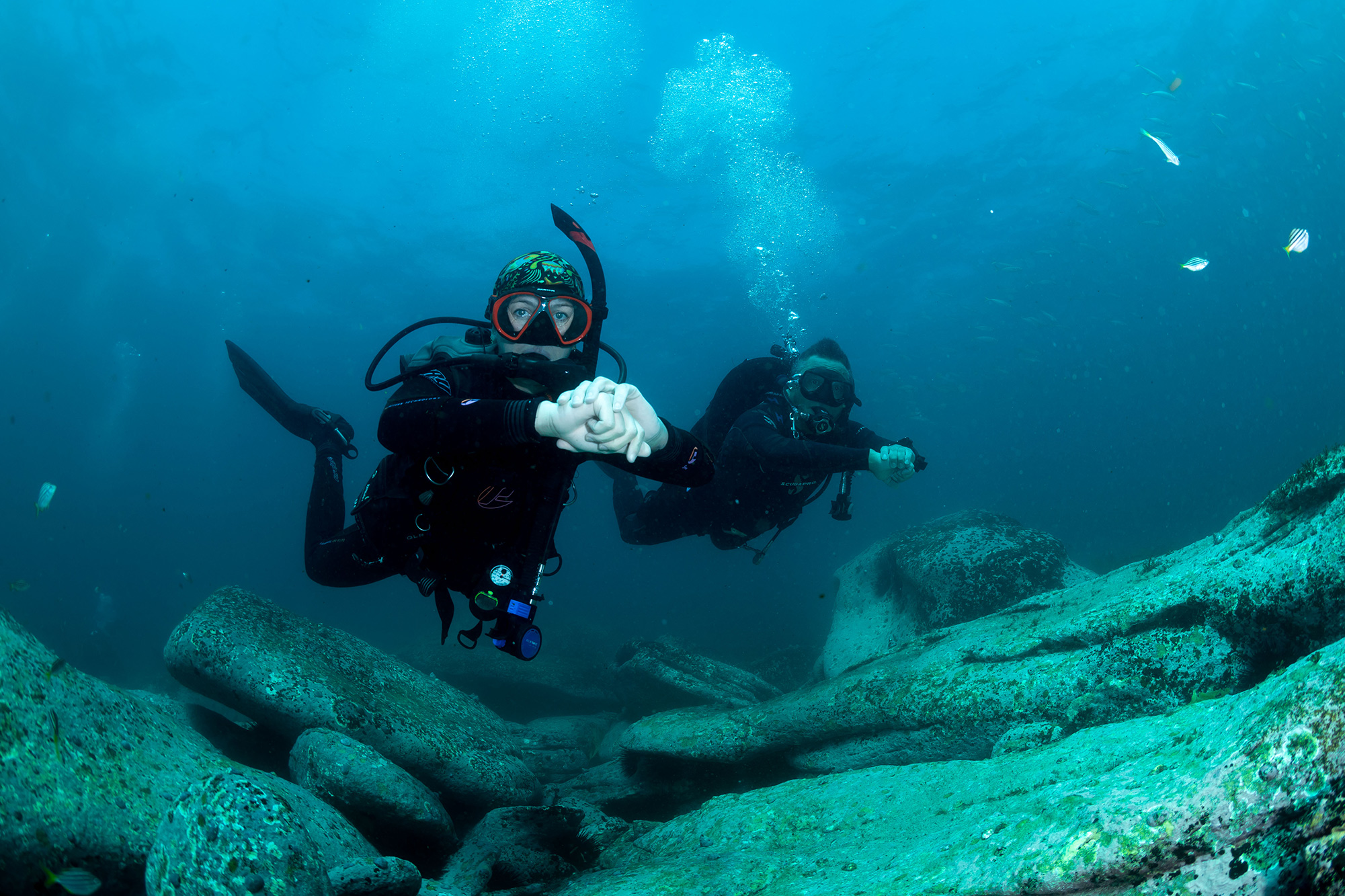 scuba diving-bear island-sydney- 