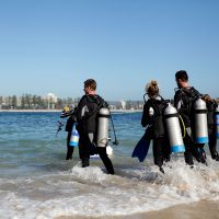 scuba divers-shelly beach-sydney- beach-ocean