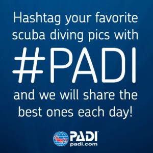 PADI Instagram