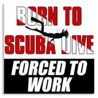 Born to Dive Forced to Work sticker
