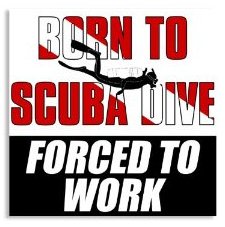 Born to Dive Forced to Work sticker