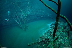 Diving Cenote Angelita