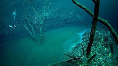 Diving Cenote Angelita