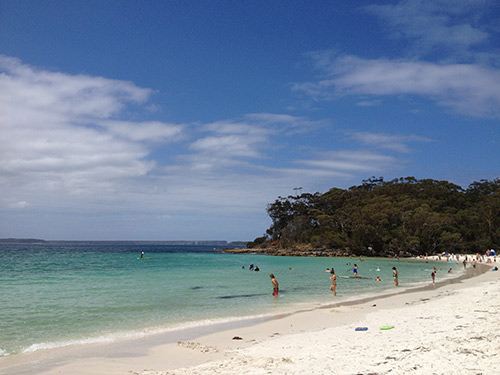 Diving in Jervis Bay, Australia