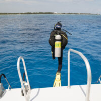 Nitrox eLearning Online is a liftable scuba course