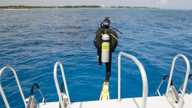 Nitrox eLearning Online is a liftable scuba course