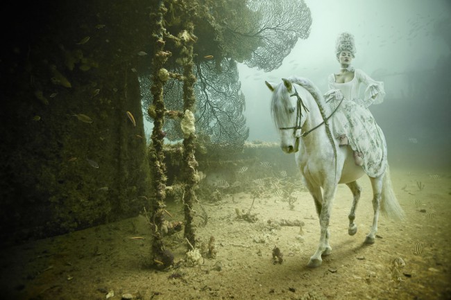 Wreck Diving Art