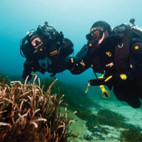 Vikki Batten - Rebreather