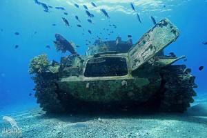 Diving Aqaba - Redsea