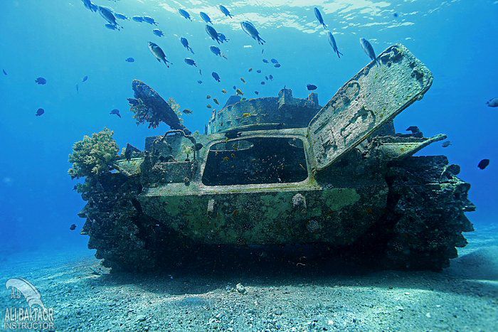 fornuft Kollisionskursus Den sandsynlige Diving Aqaba - Jordan