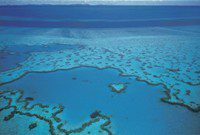 Scuba Diving Great Barrier Reef Australia