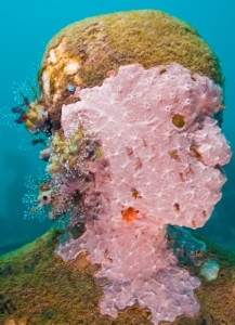 Underwater Sculpture for Scuba Divers