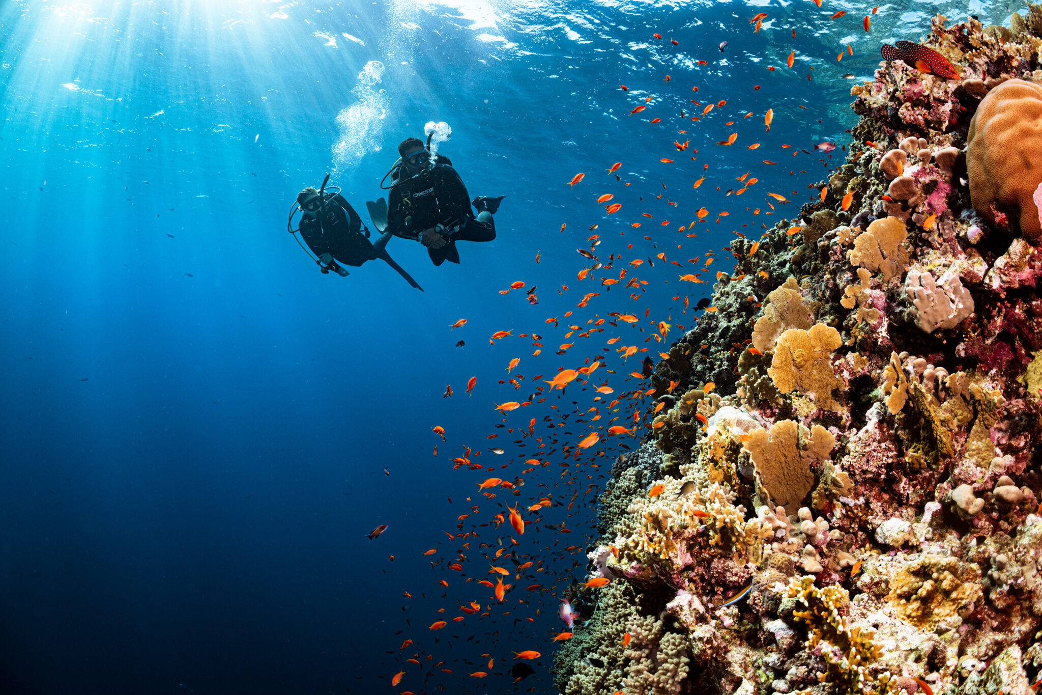 divers on reef