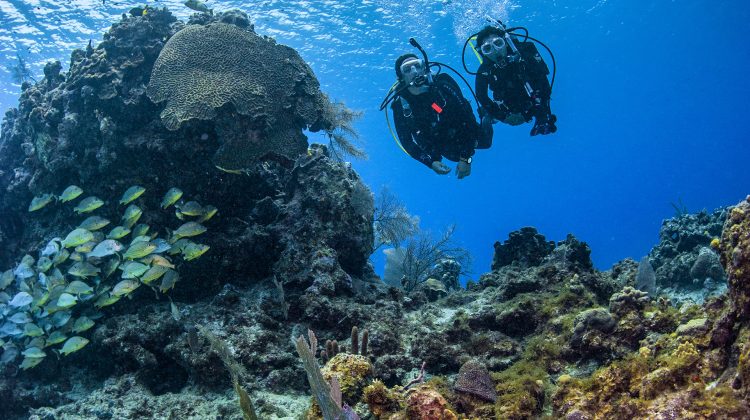 dsd to open water