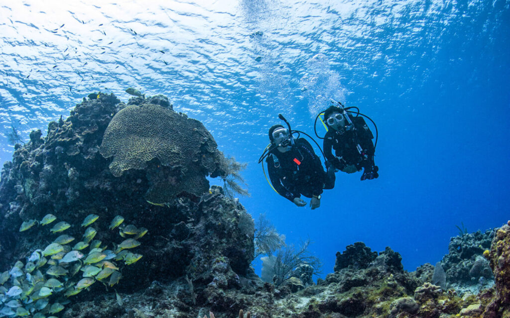 How Do You Breathe While Scuba Diving?