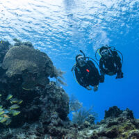 dsd to open water