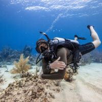 open water diver elearning