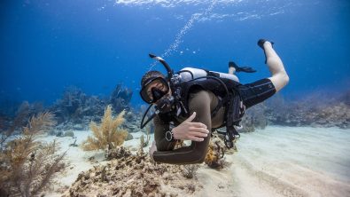open water diver elearning