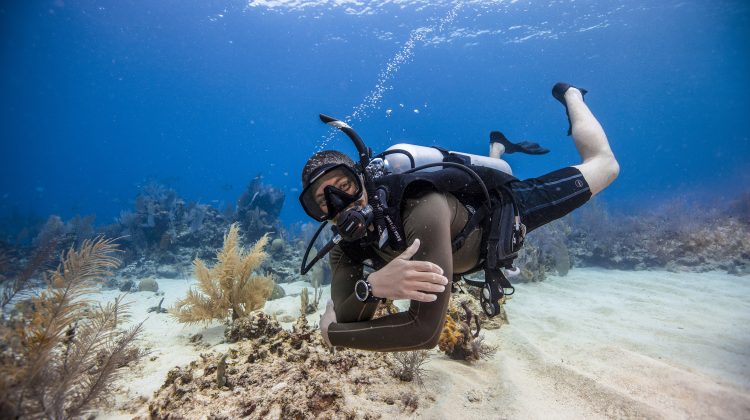 open water diver elearning