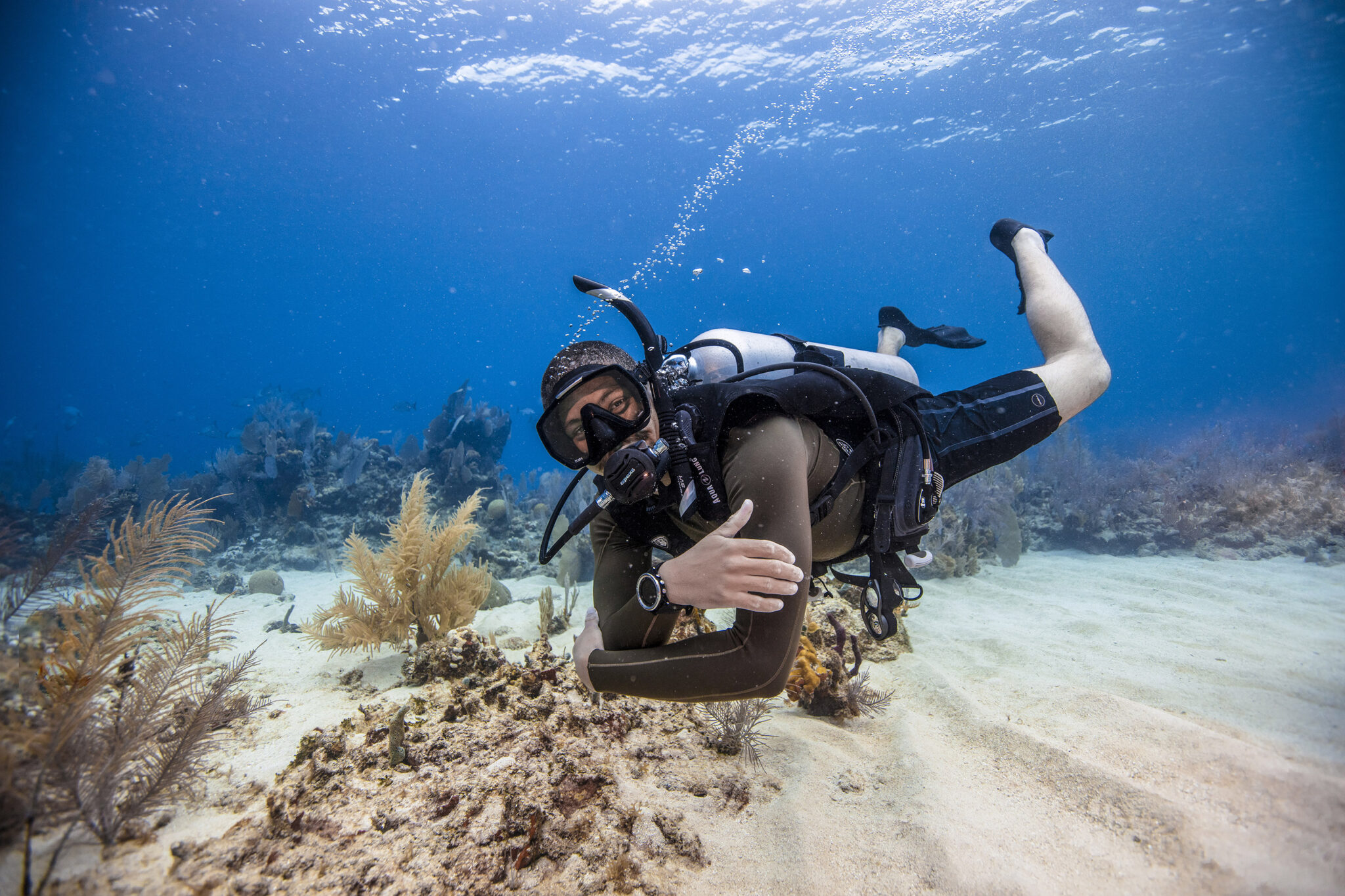 open water diver chang