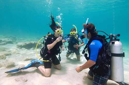 PADI Diver Training