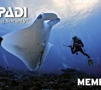 PADI Diving Society Member Card