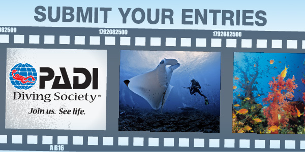 PADI Diving Society Photo Contest