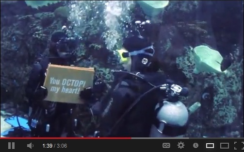 Underwater Wedding Proposal