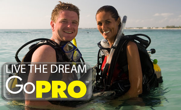 PADI instructor - A new career and endless possibilities