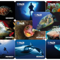 Scuba Cards