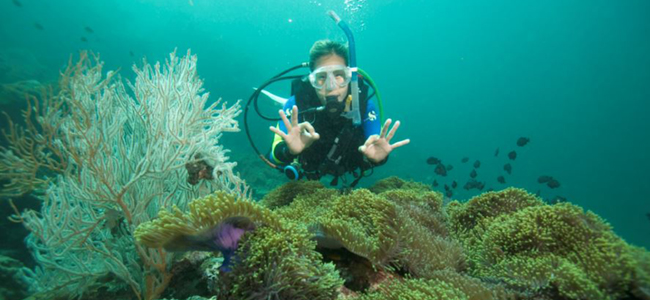 scuba diving in south korea