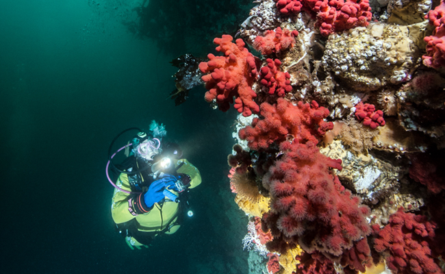 cold water scuba Canada