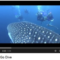 share your love of scuba diving with this PADI GoDive video