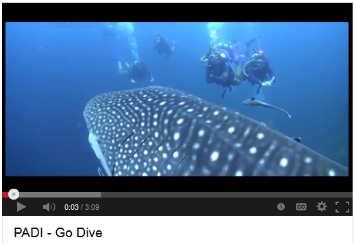 Share Your Love of Scuba Diving