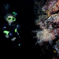 Night Diving