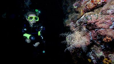 Night Diving