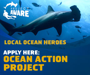 Ocean Action Project