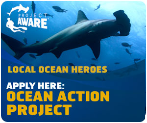 Ocean Action Project