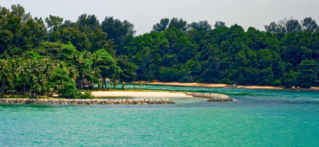 Singapore diving