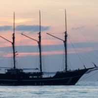 diving-liveaboard