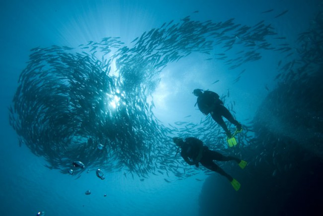 Scuba Diving in Malaysia –  Borneo