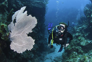 Scuba Diving Bay Islands of Honduras