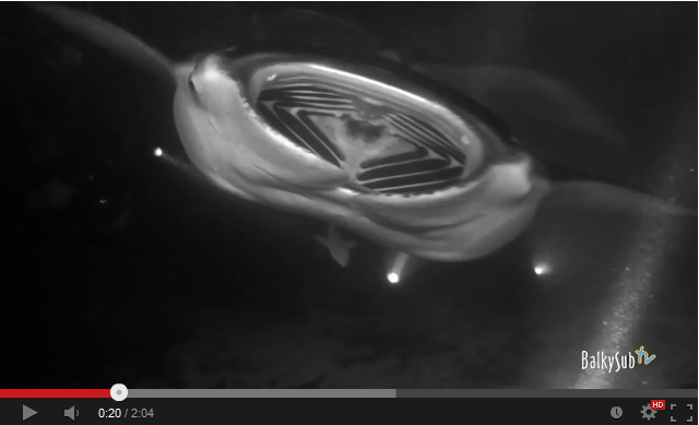 Dancing with Mantas