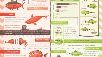One World One Ocean Know Your Seafood